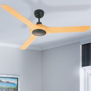 Spyda ceiling fan