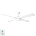 Brilliant White Tempest with LED Light