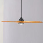 Sleeper DC Motor 48″ with Dimmable CCT LED Light & Remote (Black with Teak Blades) - Image 3