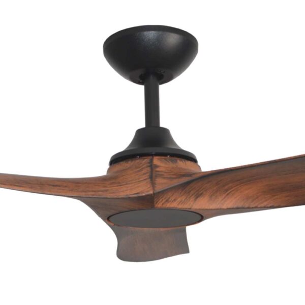 Hunter Pacific Evolve DC Ceiling Fan - (Black with Koa Blades) - close up