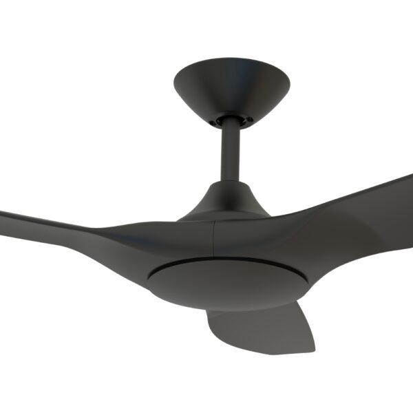 Domus Strike DC Ceiling Fan in 48-inch Black Colour Motor