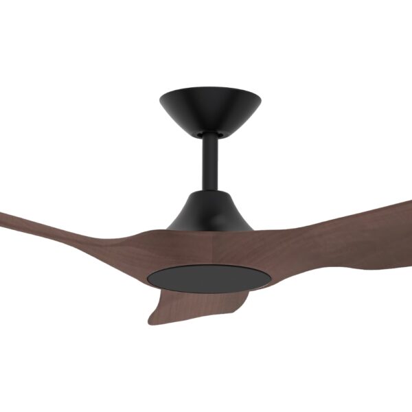 Domus Strike DC Ceiling Fan in 60-inch Black with Walnut Colour Motor