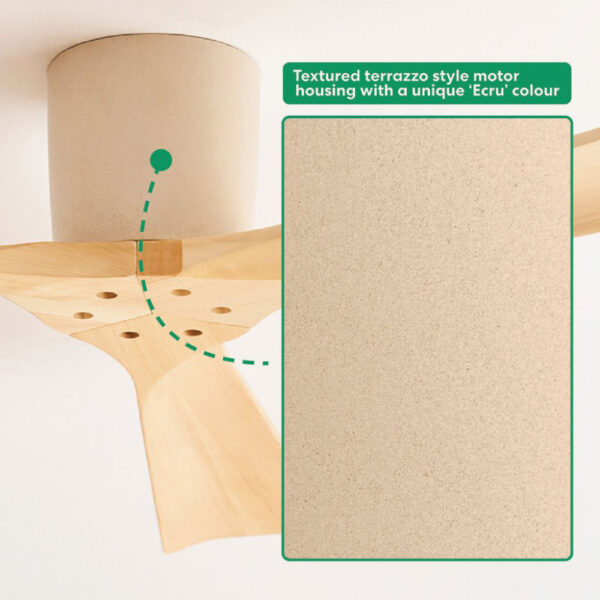 fanco gata ecru motor