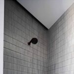 expella-shadowline-pro-bathroom