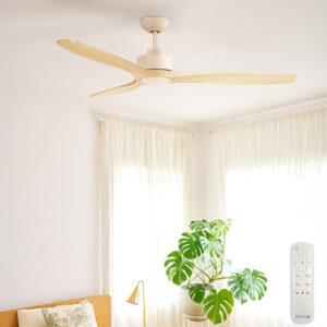 Fanco EarthFirst Wynd DC Ceiing Fan with base cap and remote - bedroom