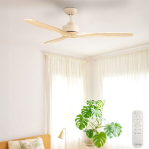 Fanco EarthFirst Wynd DC Ceiing Fan no light with remote - bedroom