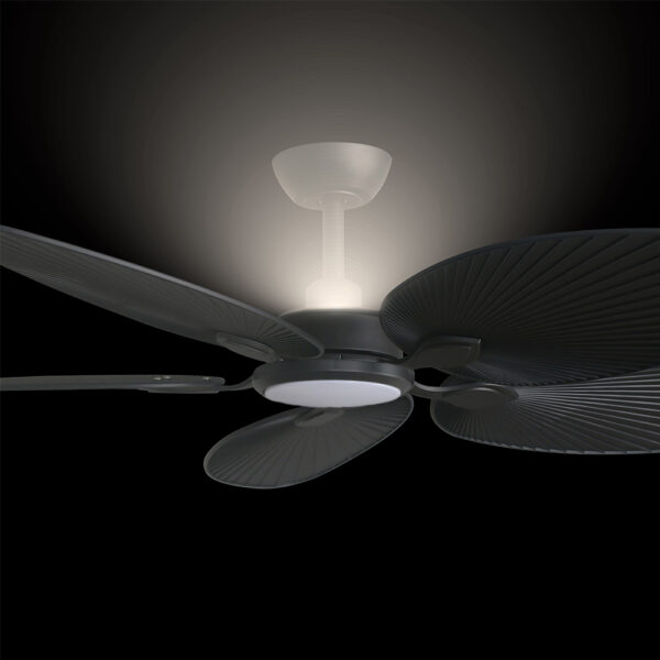 three-sixty-tropicana-dc-56-black-palm-blade-with-light-&-uplight-zoom