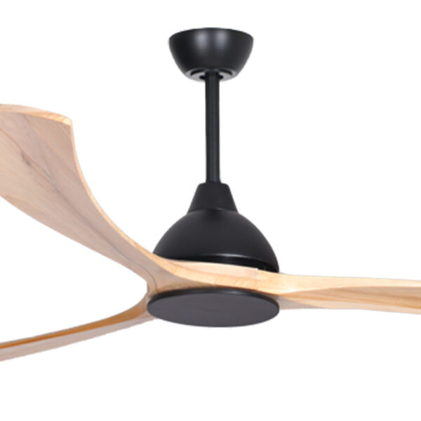 fanco-sanctuary-dc-92-black-with-natural-blades-no-light-close-up